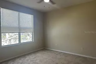 18048 Java Isle Dr, Tampa, FL 33647 - Photo 18