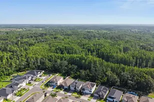9826 Carabiner Wy, Land O Lakes, FL 34637 - Photo 52
