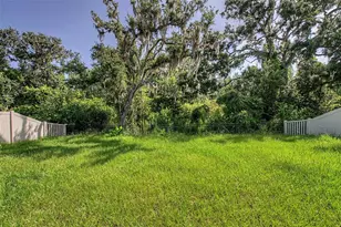 9826 Carabiner Wy, Land O Lakes, FL 34637 - Photo 46