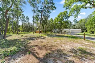 14434 Duane Ct, Spring Hill, FL 34610 - Photo 8