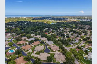 1372 Carlisle Court, Dunedin, FL 34698 - Photo 78