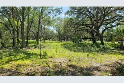 6420 N 47th Street, Tampa, FL 33610 - Photo 10
