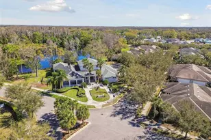 11329 Ravinia Park Blvd, Tampa, FL 33625 - Photo 34