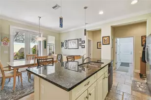 11329 Ravinia Park Blvd, Tampa, FL 33625 - Photo 12