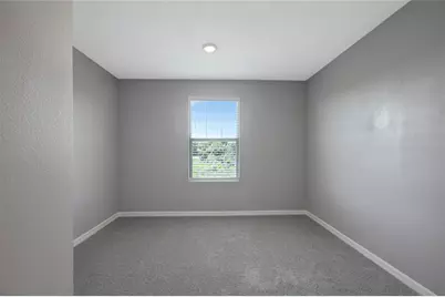38689 Harlow Rose Drive, Zephyrhills, FL 33540 - Photo 36