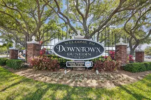 991 McLean St, Dunedin, FL 34698 - Photo 48