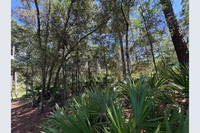 394 N Florene Point, Crystal River, FL 34429 - Photo 26