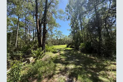 394 N Florene Point, Crystal River, FL 34429 - Photo 1