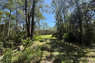 394 N Florene Point, Crystal River, FL 34429 - Photo 1