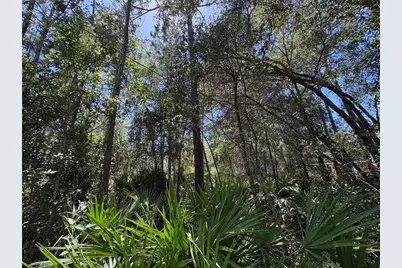 394 N Florene Point, Crystal River, FL 34429 - Photo 2