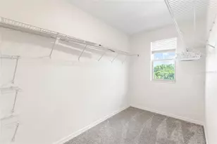 7310 Pearly Everlasting Ave, Tampa, FL 33619 - Photo 16