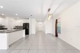 7310 Pearly Everlasting Ave, Tampa, FL 33619 - Photo 6