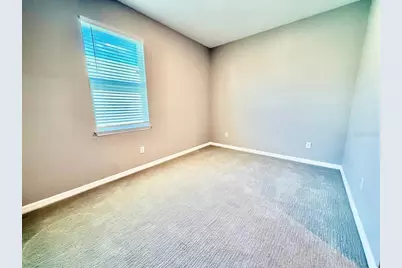34329 Evergreen Hill Court, Wesley Chapel, FL 33545 - Photo 24