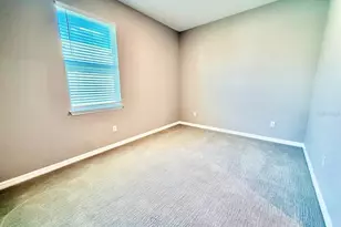 34329 Evergreen Hill Ct, Wesley Chapel, FL 33545 - Photo 24
