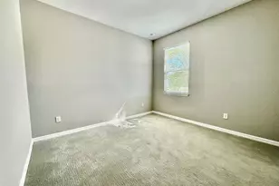 34329 Evergreen Hill Ct, Wesley Chapel, FL 33545 - Photo 32