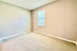 34329 Evergreen Hill Ct, Wesley Chapel, FL 33545 - Photo 26