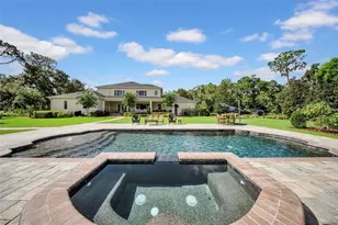 17930 Dorman Rd, Lithia, FL 33547 - Photo 56