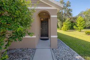 9031 Water Chestnut Dr, Temple Terrace, FL 33637 - Photo 4