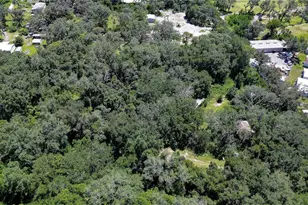 3801 Pate Rd, Zephyrhills, FL 33541 - Photo 1