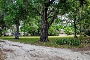 13815 Plainview Rd, Odessa, FL 33556 - Photo 58