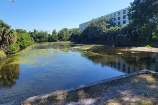 701 S Madison Ave, Clearwater, FL 33756 - Photo 2
