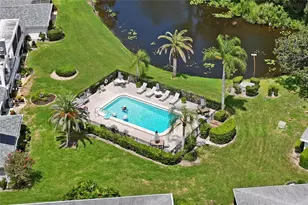 1520 Palmer Ct, Palm Harbor, FL 34685 - Photo 56