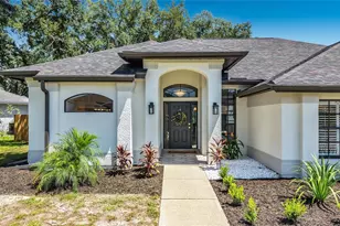 927 Whippoorwill Dr, Palm Harbor, FL 34683 - Photo 2