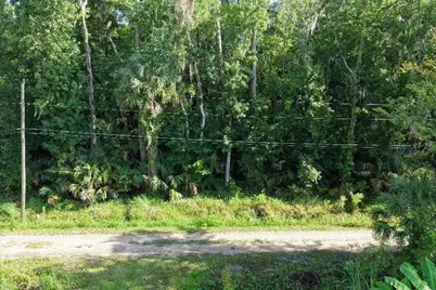 Gobbler Road, Astor, FL 32102 - Photo 8