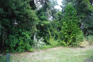 102 Natures Trail, Safety Harbor, FL 34695 - Photo 2