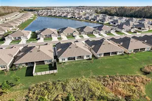 18027 Turning Leaf Cir, Land O Lakes, FL 34638 - Photo 54