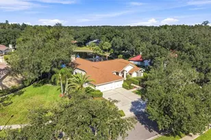 15923 Ellsworth Dr, Tampa, FL 33647 - Photo 56