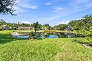 15923 Ellsworth Dr, Tampa, FL 33647 - Photo 54