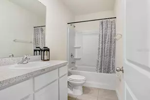 366 Mangrove Shade Cir, Apollo Beach, FL 33572 - Photo 14