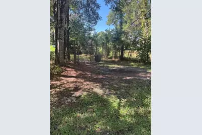 29244 Sanibel Drive, Wesley Chapel, FL 33544 - Photo 1