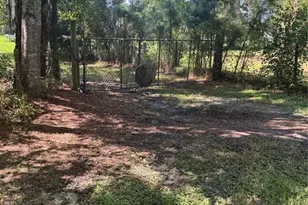 29244 Sanibel Dr, Wesley Chapel, FL 33544 - Photo 1
