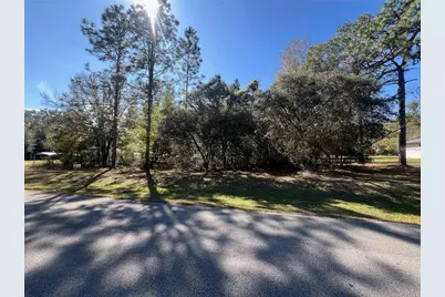 00 SW 196th Avenue, Dunnellon, FL 34431 - Photo 2