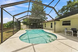 2202 Citrus Hill Ln, Palm Harbor, FL 34683 - Photo 28