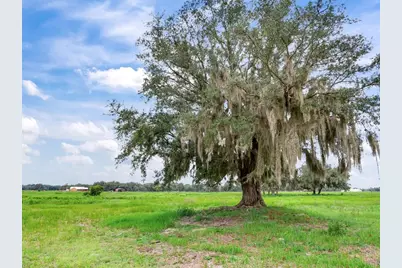 9111 Lake Buffum Road N, Fort Meade, FL 33841 - Photo 62