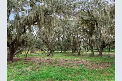 9111 Lake Buffum Road N, Fort Meade, FL 33841 - Photo 60