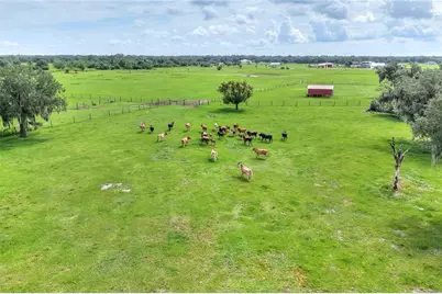 9111 Lake Buffum Road N, Fort Meade, FL 33841 - Photo 4