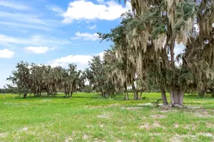 9111 Lake Buffum Rd N, Fort Meade, FL 33841 - Photo 60