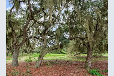 9111 Lake Buffum Road N, Fort Meade, FL 33841 - Photo 52