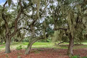 9111 Lake Buffum Rd N, Fort Meade, FL 33841 - Photo 52