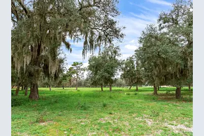 9111 Lake Buffum Road N, Fort Meade, FL 33841 - Photo 54