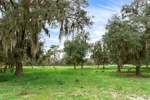 9111 Lake Buffum Rd N, Fort Meade, FL 33841 - Photo 54
