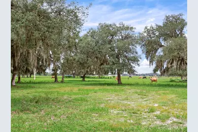 9111 Lake Buffum Road N, Fort Meade, FL 33841 - Photo 48