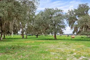 9111 Lake Buffum Rd N, Fort Meade, FL 33841 - Photo 48
