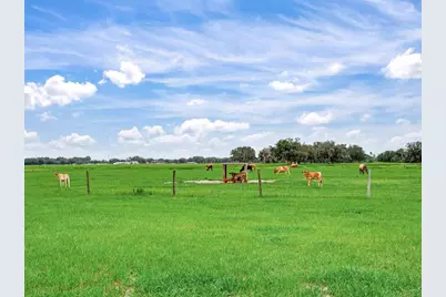 9111 Lake Buffum Road N, Fort Meade, FL 33841 - Photo 42