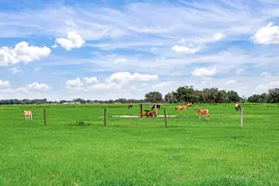 9111 Lake Buffum Rd N, Fort Meade, FL 33841 - Photo 42