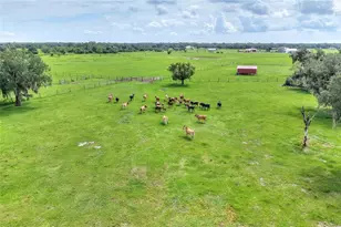9111 Lake Buffum Rd N, Fort Meade, FL 33841 - Photo 62